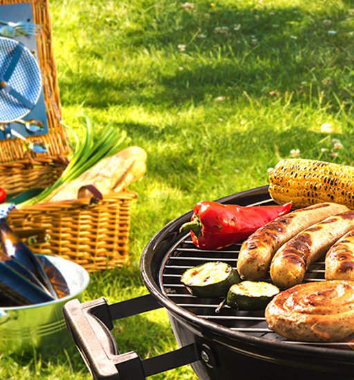 Barbecue picnic on a meadow